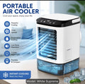 Portable air cooler